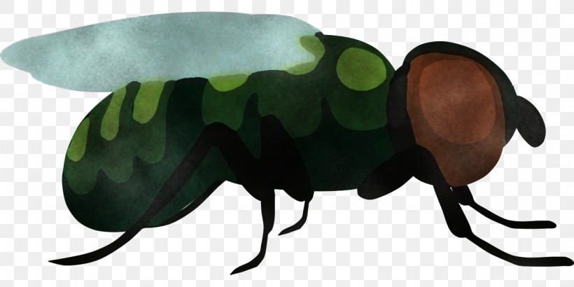 Beetles Insect Science Biology, PNG, 1280x640px, Beetles, Biology, Insect, Science Download Free