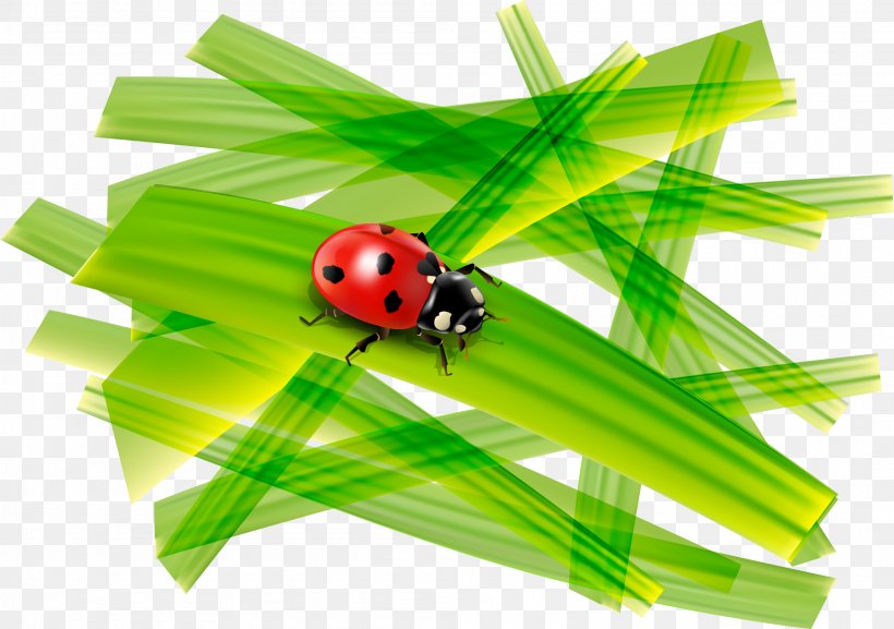 Ladybird Coccinella Septempunctata, PNG, 2001x1410px, Ladybird, Beetle, Cartoon, Coccinella Septempunctata, Designer Download Free