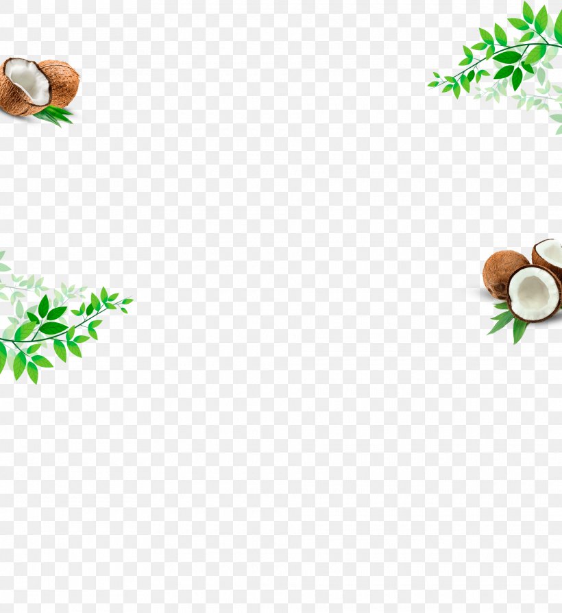 Leaf Clip Art, PNG, 1920x2095px, Leaf, Branch, Flower, Grass, Organism Download Free