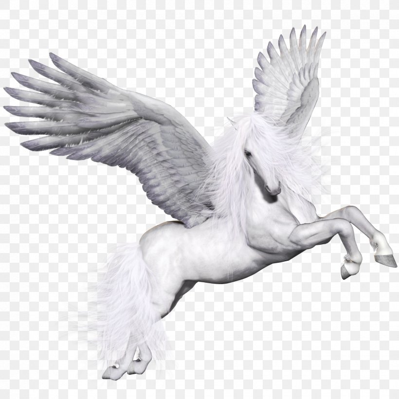Pegasus Great Eccleston Copp Church Of England Primary School Icon, PNG, 1750x1750px, Pegasus And Dragon, Beak, Bird, Black And White, Book Download Free
