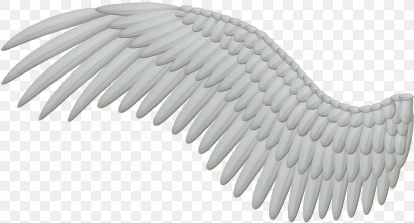 Angel Wing Feather Clip Art, PNG, 1024x554px, Computer Graphics, Black And White, Computer Font, Editing, Product Design Download Free
