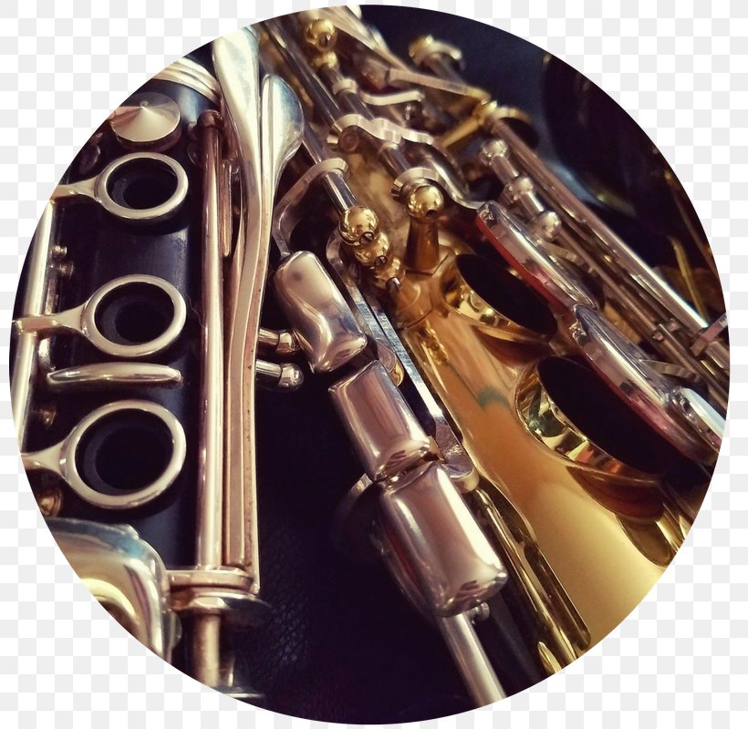 Baritone Saxophone Clarinet Family Mellophone Euphonium, PNG, 800x800px, Baritone Saxophone, Baritone, Brass, Brass Instrument, Brass Instruments Download Free