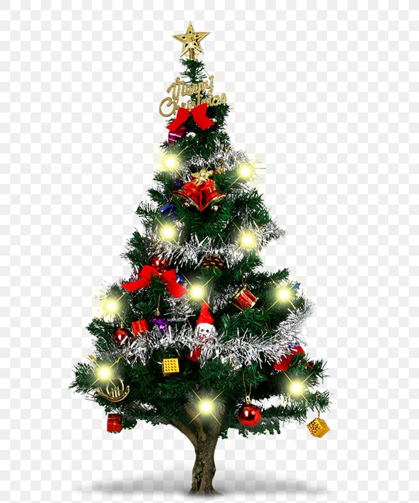 Christmas Tree Christmas Ornament Christmas Decoration, PNG, 786x984px ...