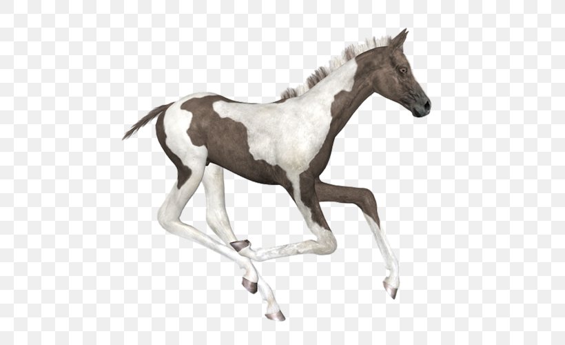 Mustang Foal Stallion American Paint Horse Colt, PNG, 500x500px, Mustang, American Paint Horse, Animal Figure, Bit, Colt Download Free