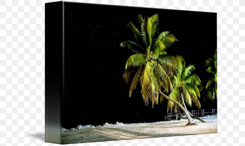 Picture Frames Image, PNG, 650x489px, Picture Frames, Grass, Picture Frame, Plant, Tree Download Free