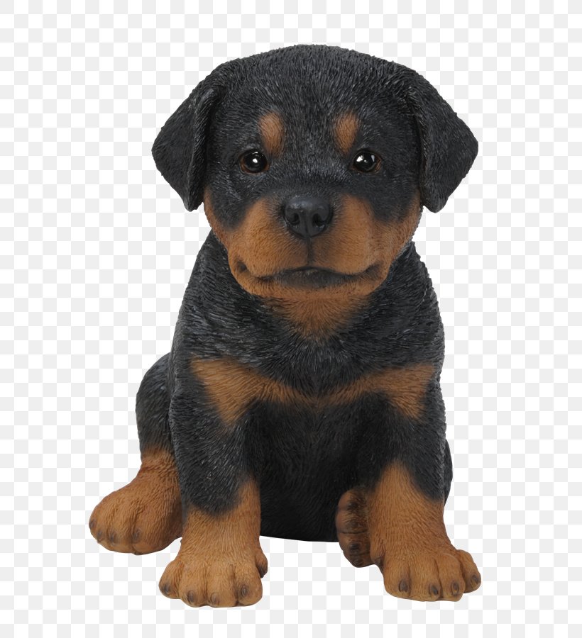 Rottweiler Puppy Chihuahua Dachshund Boxer, PNG, 649x900px, Rottweiler, Art, Boxer, Carnivoran, Chihuahua Download Free
