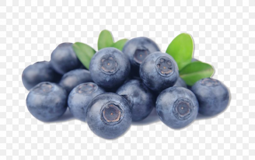 Blueberry Raspberry Blackberry Fruit, PNG, 900x565px, Blueberry, Berry, Bilberry, Blackberry, Blueberry Sauce Download Free
