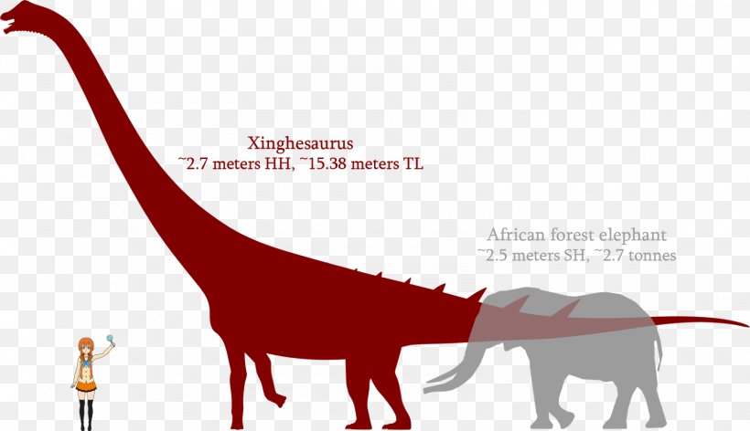 Dinosaur Sauropods Bone Wars Xinghesaurus Argentinosaurus, PNG, 1600x922px, Dinosaur, Animal, Argentinosaurus, Bone Wars, Diagram Download Free