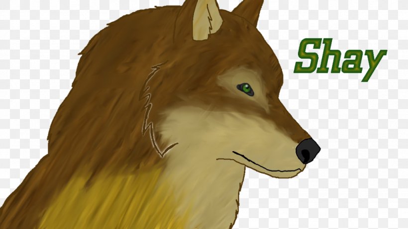 Dog Mammal Canidae Snout Character, PNG, 1024x577px, Dog, Animation, Canidae, Canis, Carnivore Download Free