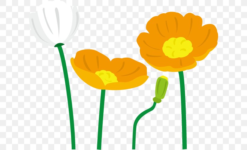 Petal Common Poppy Clip Art, PNG, 631x500px, Petal, Color, Common Poppy, Flora, Flower Download Free