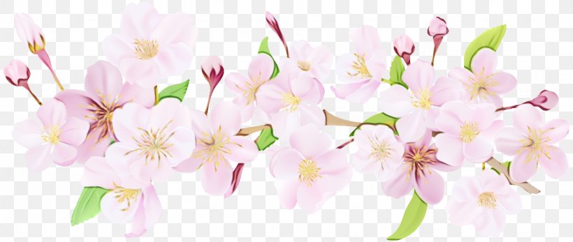 Cherry Blossom Stock Illustration Floral Design, PNG, 1126x477px, Cherry Blossom, Blossom, Botany, Branch, Cut Flowers Download Free