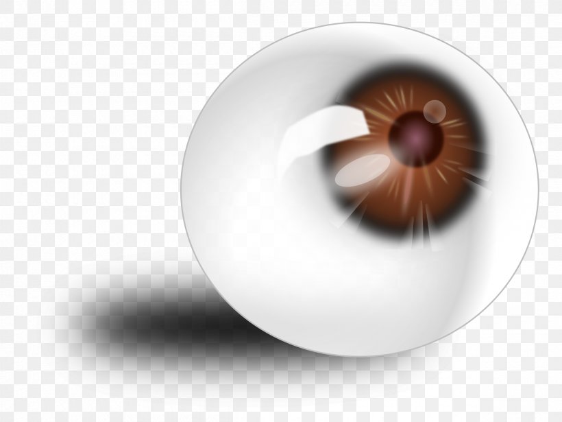Human Eye Clip Art, PNG, 2400x1800px, Eye, Eyelash, Globe, Human Eye, Windows Metafile Download Free