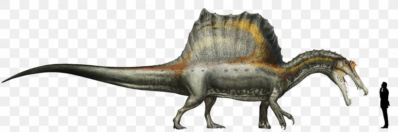Spinosaurus Giganotosaurus Tyrannosaurus Dinosaur Oxalaia, PNG, 1920x640px, Spinosaurus, Animal Figure, Beak, Bipedalism, Dinosaur Download Free