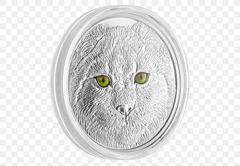 Tabby Cat Whiskers Canada Silver Eye, PNG, 570x570px, 2017, Tabby Cat, Body Jewelry, Canada, Canada Lynx Download Free