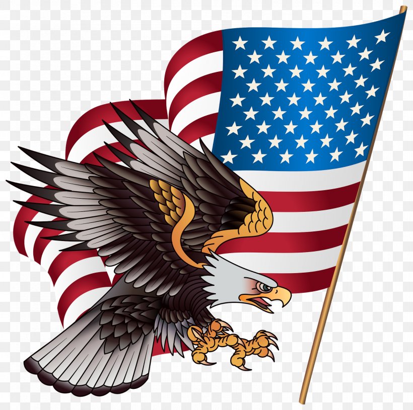 United States T-shirt American Eagle Outfitters Clip Art, PNG, 1600x1591px, United States, American Eagle Outfitters, Bald Eagle, Beak, Bird Download Free