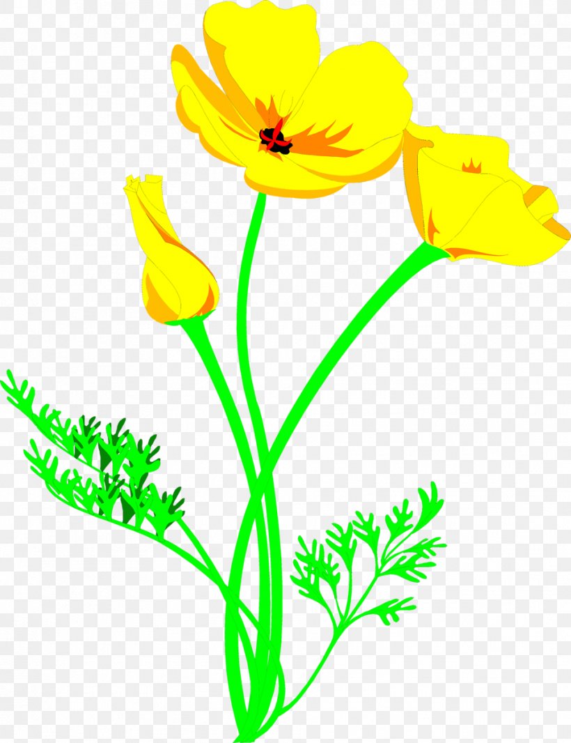 Plant CorelDRAW Yellow Color, PNG, 958x1246px, Plant, Annual Plant, Artwork, Black And White, Broadleaf Arrowhead Download Free