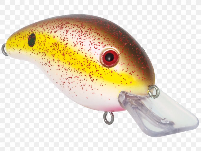 Plug Fishing Baits & Lures Spoon Lure Bait Fish, PNG, 1200x900px, Plug, Angling, Bait, Bait Fish, Fish Download Free