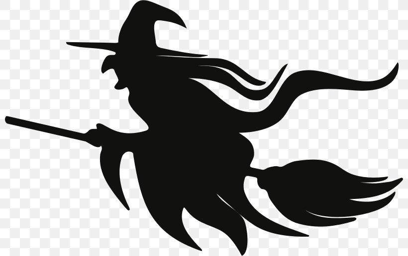Witch's Broom Witchcraft Silhouette, PNG, 800x516px, Broom, Art, Artwork, Beak, Bird Download Free