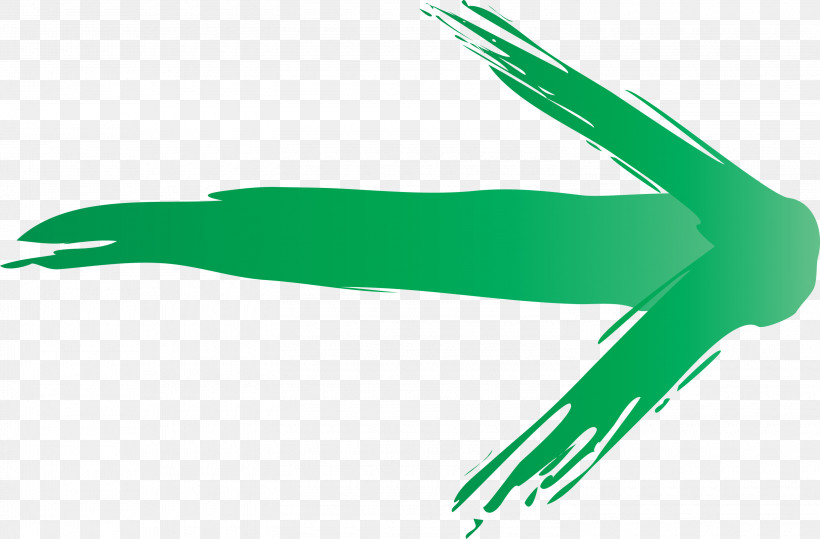 Brush Arrow, PNG, 3000x1973px, Brush Arrow, Green, Hand, Hummingbird, Logo Download Free