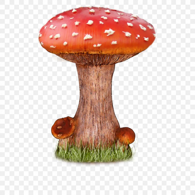 Mushroom Clip Art, PNG, 1024x1024px, Mushroom, Agaric, Amanita Muscaria, Common Mushroom, Fungus Download Free