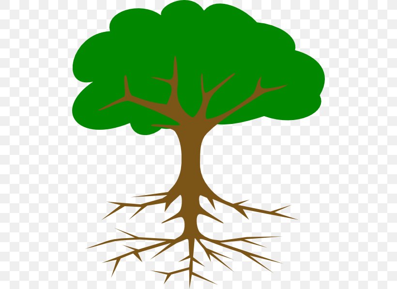 Tree Root Clip Art, PNG, 522x597px, Tree, Artwork, Branch, Christmas Tree, Drawing Download Free