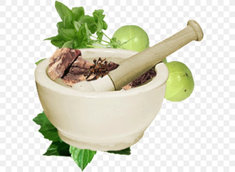 Ayurveda Medicine Physician Therapy Alternative Health Services, PNG, 600x600px, Ayurveda, Alternative Health Services, Central Council Of Indian Medicine, Charaka, Cure Download Free