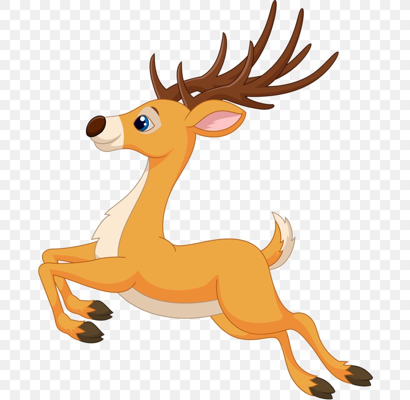 Deer Vector Graphics Stock Photography Stock Illustration, PNG, 673x800px, Deer, Animal Figure, Carnivoran, Cartoon, Drawing Download Free