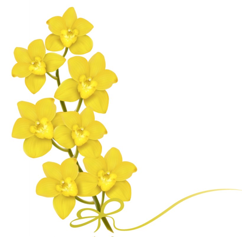 Flower Stock Photography Clip Art, PNG, 1024x1005px, Flower, Cut Flowers, Floral Design, Flower Bouquet, Flowering Plant Download Free