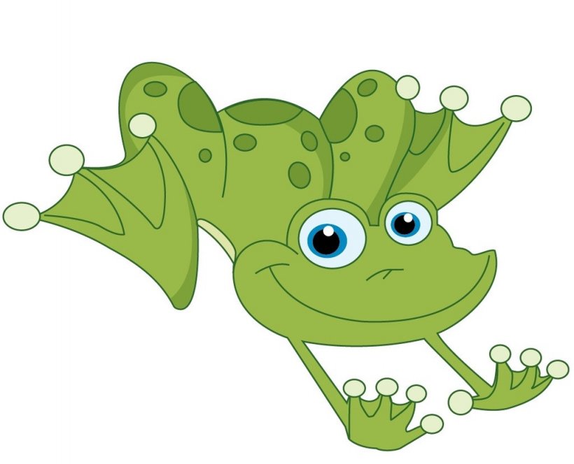 Frog Clip Art, PNG, 1024x830px, Frog, Amphibian, Cartoon, Coloring Book, Drawing Download Free