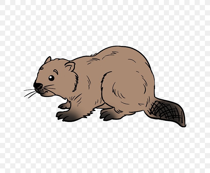 Groundhog Beaver Mustelidae Ferret Marten, PNG, 680x678px, Groundhog, Beaver, Ferret, Marmot, Marten Download Free