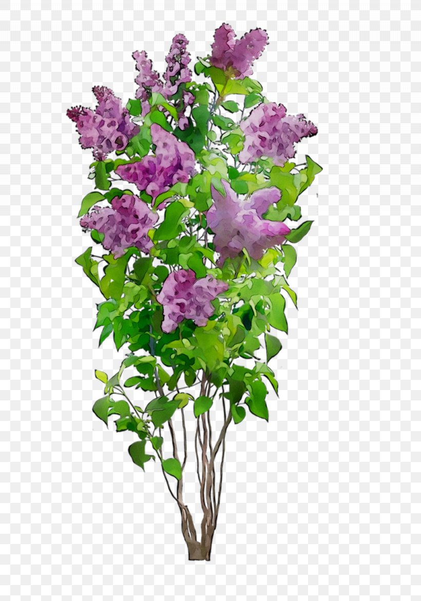 Lavender Cut Flowers Floral Design Flower Bouquet, PNG, 1025x1464px, Lavender, Annual Plant, Artificial Flower, Branching, Cut Flowers Download Free