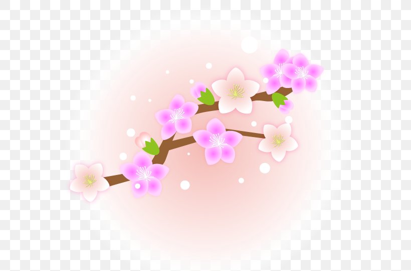 Peach Flower Clipart., PNG, 679x542px, Blossom, Branch, Branching, Cherries, Cherry Blossom Download Free