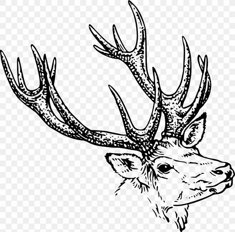 White-tailed Deer Red Deer Drawing Clip Art, PNG, 1280x1264px, Deer, Antler, Artwork, Black And White, Deer Hunting Download Free