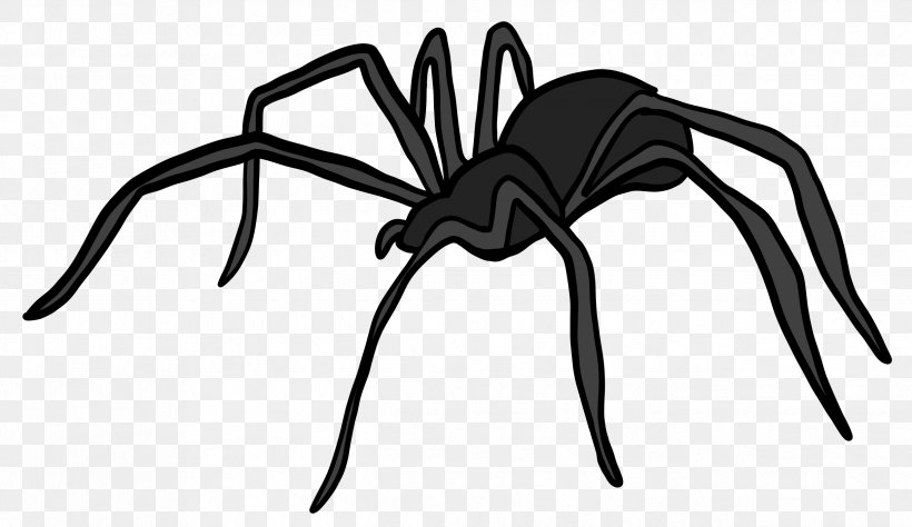 Widow Spiders Pest Control Orkin Wolf Spider, PNG, 2485x1438px, Spider, Arachnid, Arachnophobia, Arthropod, Black And White Download Free