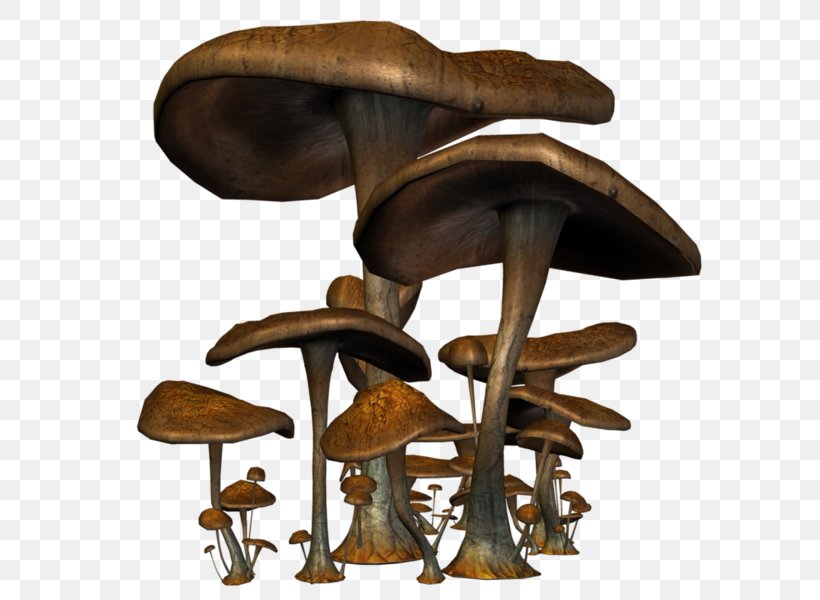 Mushroom Fungus Drawing, PNG, 600x600px, Mushroom, Animation, Cartoon, Drawing, Edible Mushroom Download Free