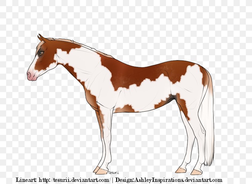 Mustang Foal Mare Stallion Rein, PNG, 750x600px, Mustang, Animal Figure, Bridle, Colt, Foal Download Free