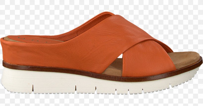Shoe Sandal Product Design Slide, PNG, 1200x630px, Shoe, Brown, Footwear, Orange, Outdoor Shoe Download Free