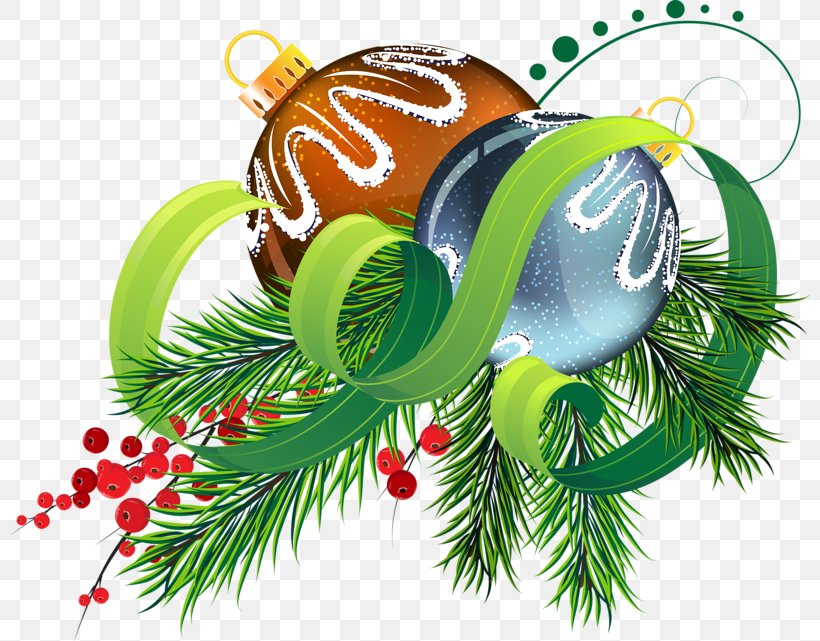 Christmas Ornament Illustration Graphics Pine Christmas Day, PNG, 800x641px, Christmas Ornament, Branch, Christmas, Christmas Day, Christmas Decoration Download Free