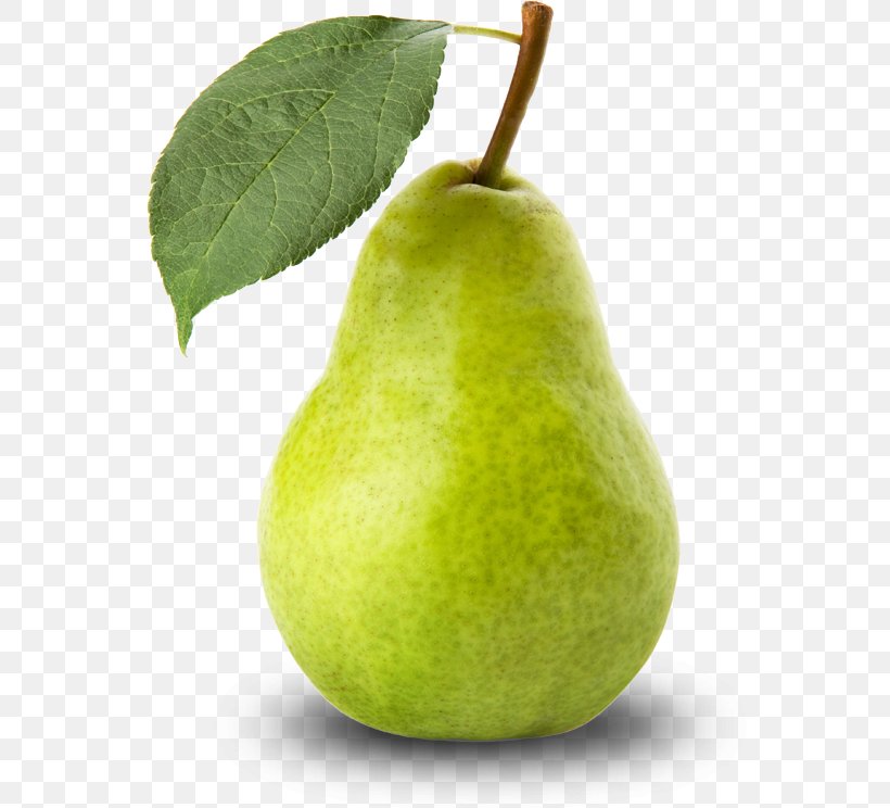 European Pear Fruit Abate Fetel Clip Art, PNG, 744x744px, European Pear, Abate Fetel, Apple, Avocado, Concentrate Download Free