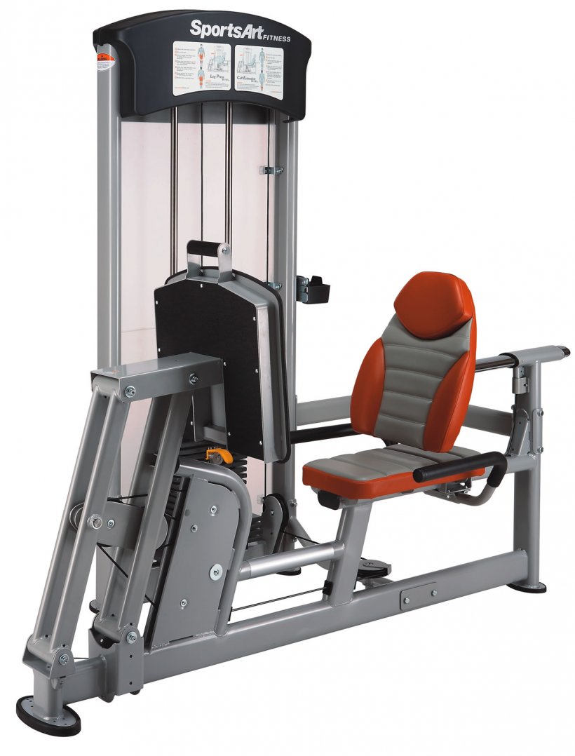Exercise Equipment Fitness Centre Exercise Machine Sport Elliptical Trainers, PNG, 1216x1600px, Exercise Equipment, Aerobic Exercise, Elliptical Trainers, Exercise Machine, Fitness Centre Download Free