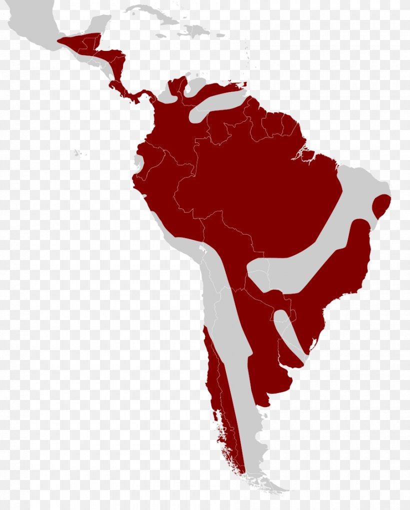 Latin America Caribbean United States Of America Subregion Southern Cone, PNG, 900x1120px, Latin America, Americas, Art, Blood, Caribbean Download Free