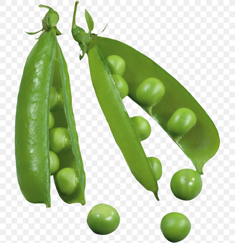 Snap Pea Clip Art Green Pea Vegetarian Cuisine, PNG, 717x848px, Snap Pea, Bean, Broad Bean, Commodity, Drawing Download Free