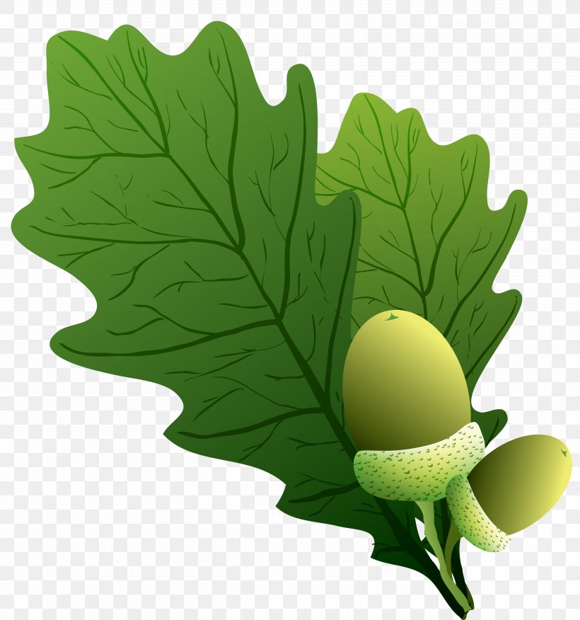 Leaf, PNG, 5217x5578px, Logo, Food, Fruit, Leaf, Leaf Vegetable Download Free
