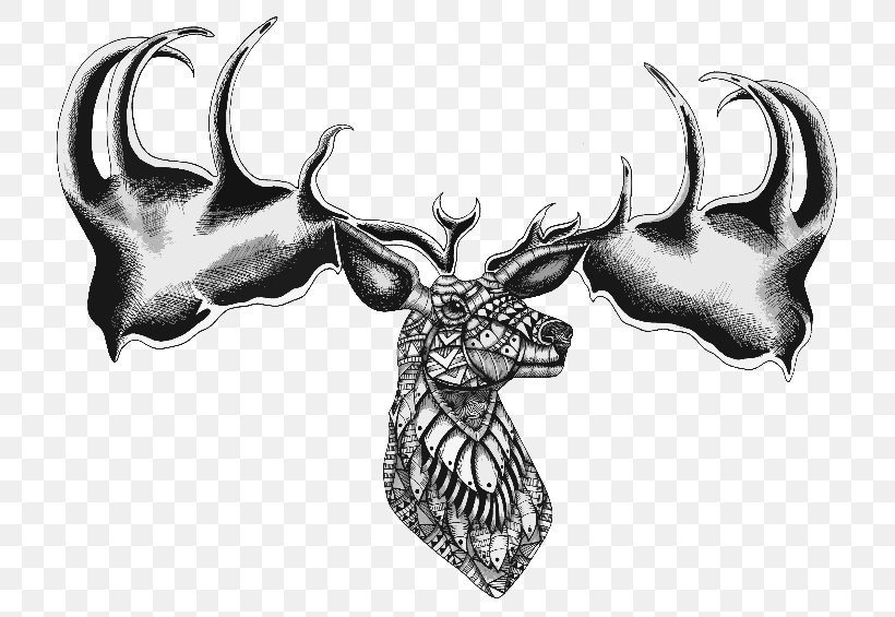 Reindeer Cattle Horn Antler Font, PNG, 800x565px, Reindeer, Antler, Black And White, Bone, Cattle Download Free
