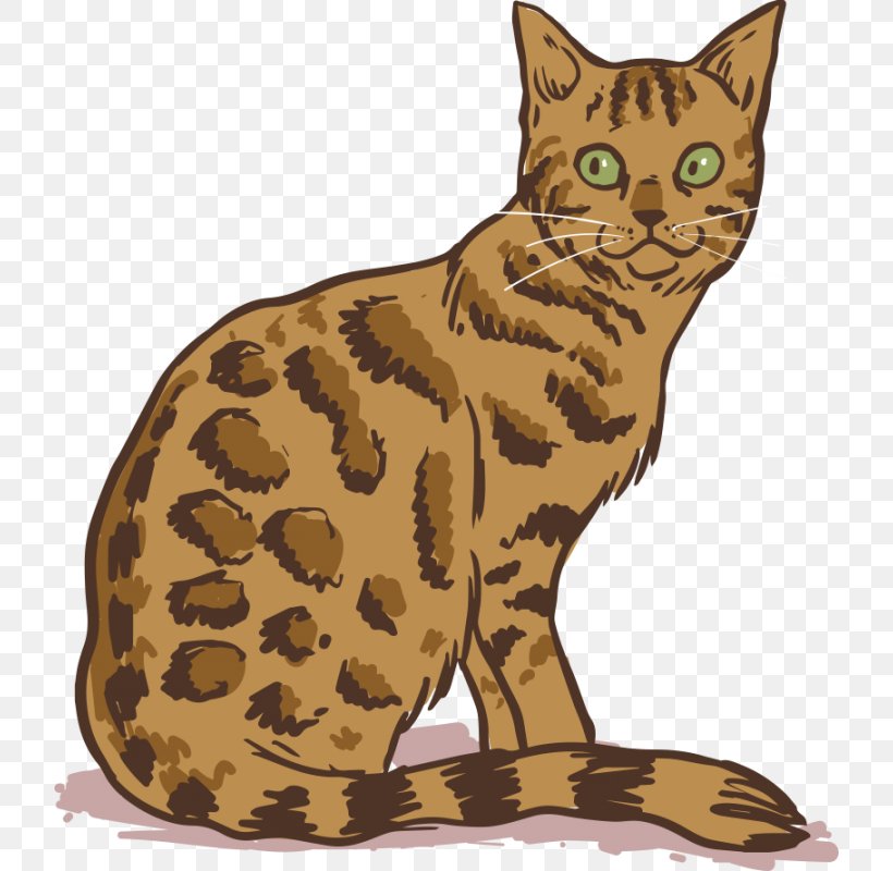 Bengal Cat Persian Cat Siamese Cat Burmese Cat Donskoy Cat, PNG, 800x800px, Bengal Cat, Animal, Asian, Bengal, Breed Download Free
