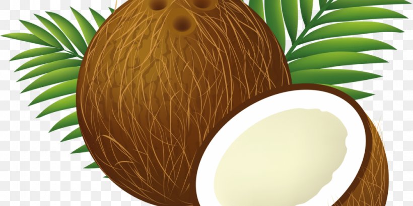 Coconut Arecaceae Clip Art, PNG, 1000x500px, Coconut, Arecaceae, Arecales, Flowerpot, Royaltyfree Download Free