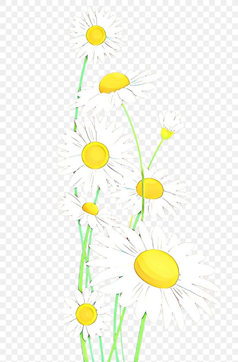 Floral Design, PNG, 792x1245px, Cartoon, Branch, Camomile, Chamomile, Cut Flowers Download Free