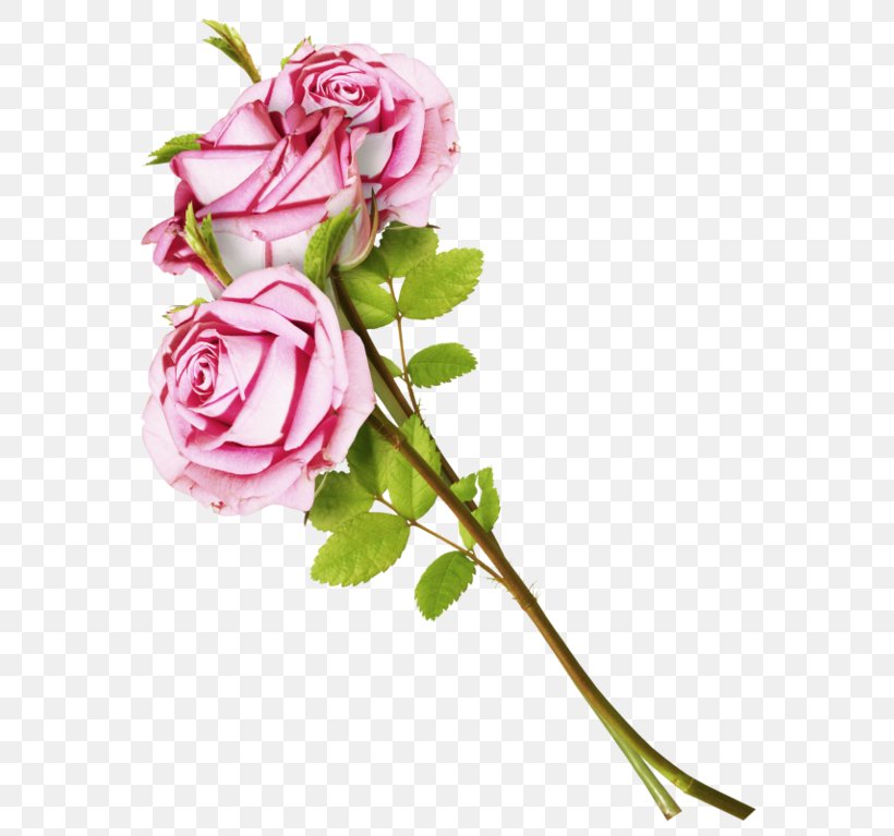 Garden Roses Flower Cabbage Rose Mumin, PNG, 600x767px, Garden Roses, Artificial Flower, Cabbage Rose, Cut Flowers, Floral Design Download Free