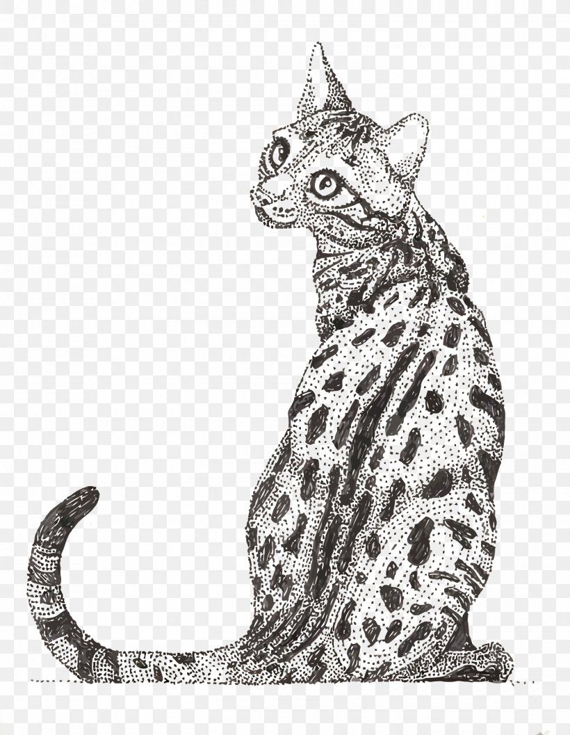 Ocicat Tabby Cat Ocelot Wildcat Whiskers, PNG, 1500x1935px, Ocicat, Art, Big Cats, Black And White, Carnivoran Download Free