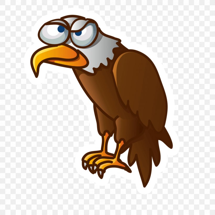 Vulture Cartoon Bird Illustration, PNG, 1001x1001px, Bald Eagle, Animal, Animation, Beak, Bird Download Free